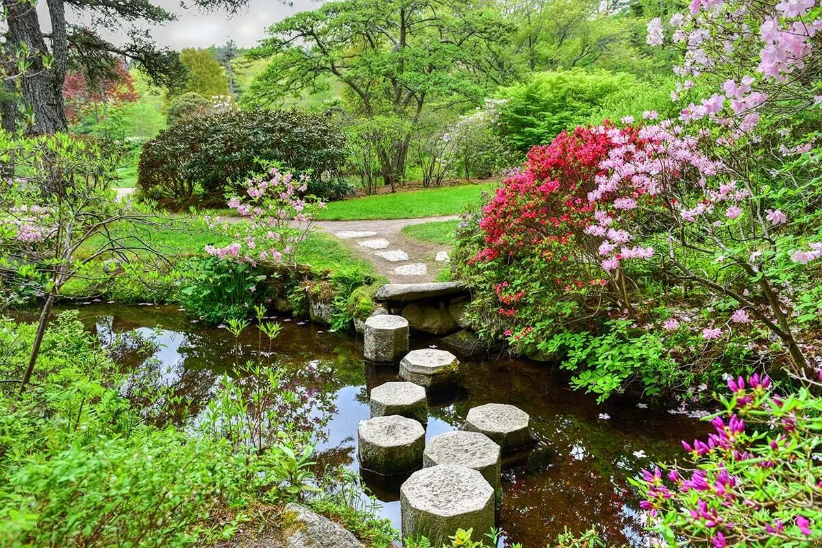 Asticou Azalea Gardens in Acadia National Park