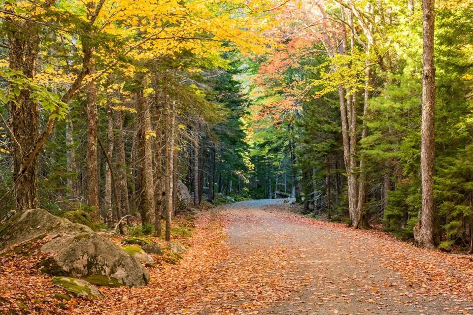 Acadia National Park Itinerary for 13 Days (+ Tips for Planning Your Trip)