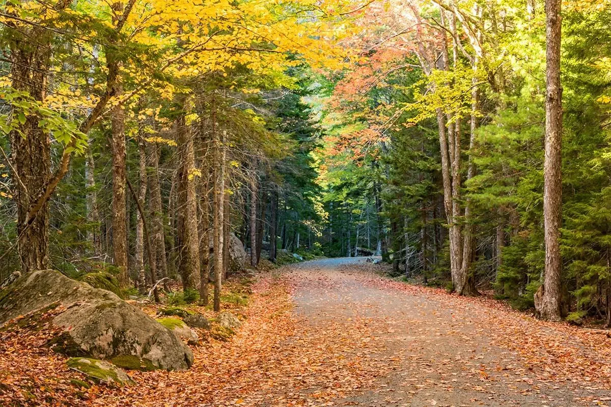 Carriage Roads in Acadia National Park in autumn