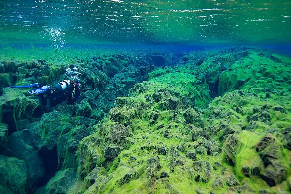 Silfra snorkeling in Iceland