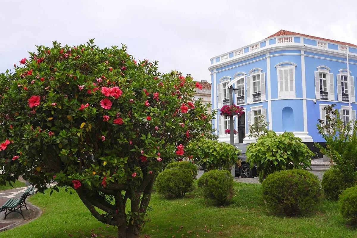 Colorful buildings and gardens in Ponta Delgada town in the Azores