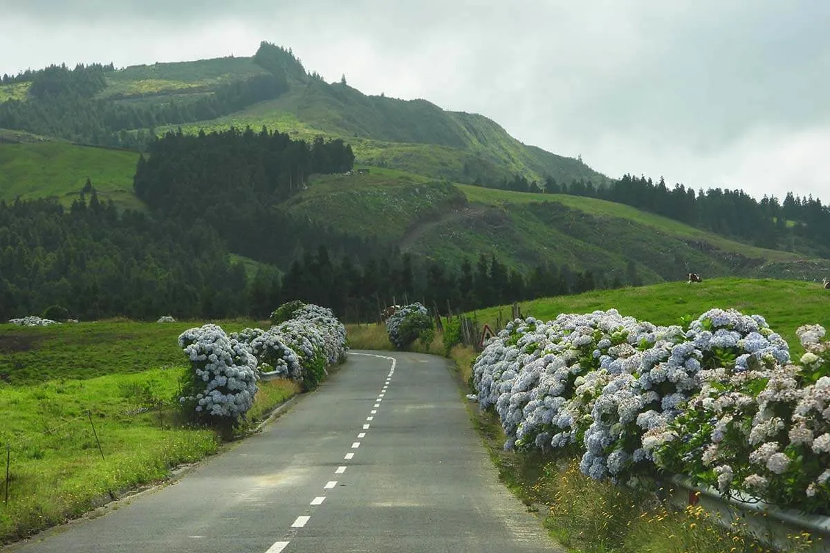 Driving on a road near Furnas Azores