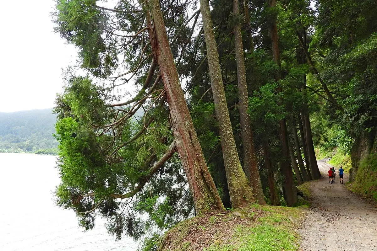 Hiking around Furnas Lake in the Azores