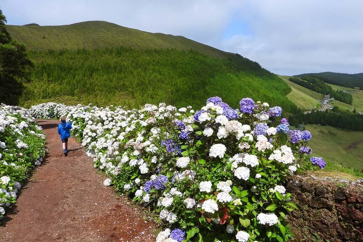 Things to do in Sete Cidades Azores - Serra Devassa hike