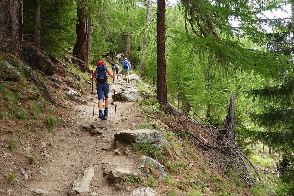 Hiking trail from Randa to Charles Kuonen suspension bridge