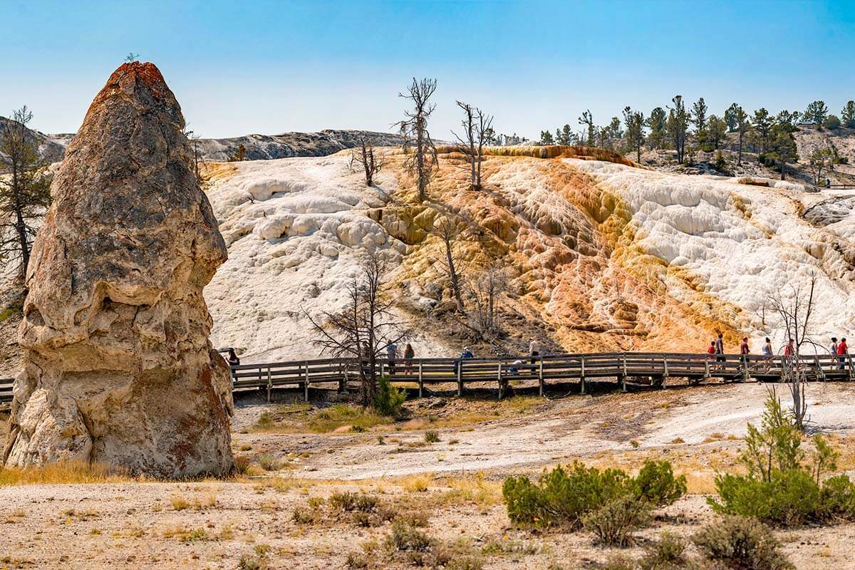 Mammoth Hot Springs in North Yellowstone