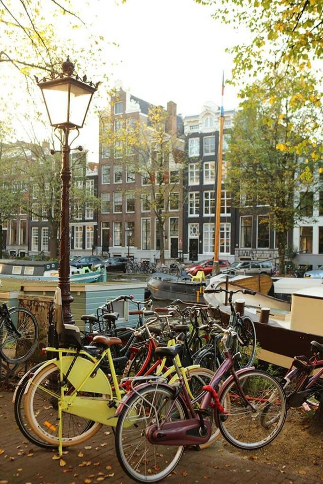 Traveling To Amsterdam First Time 2024 22 Tips Tricks For Your Visit   Amsterdam Canals And Bikes In The Fall 640x960 