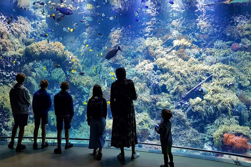Big aquarium at the Antwerp zoo