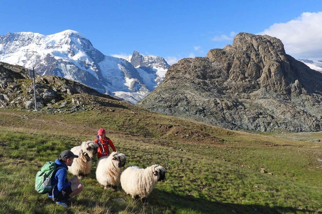 One Day in Zermatt Day Trip Itinerary, Map & Planning Tips