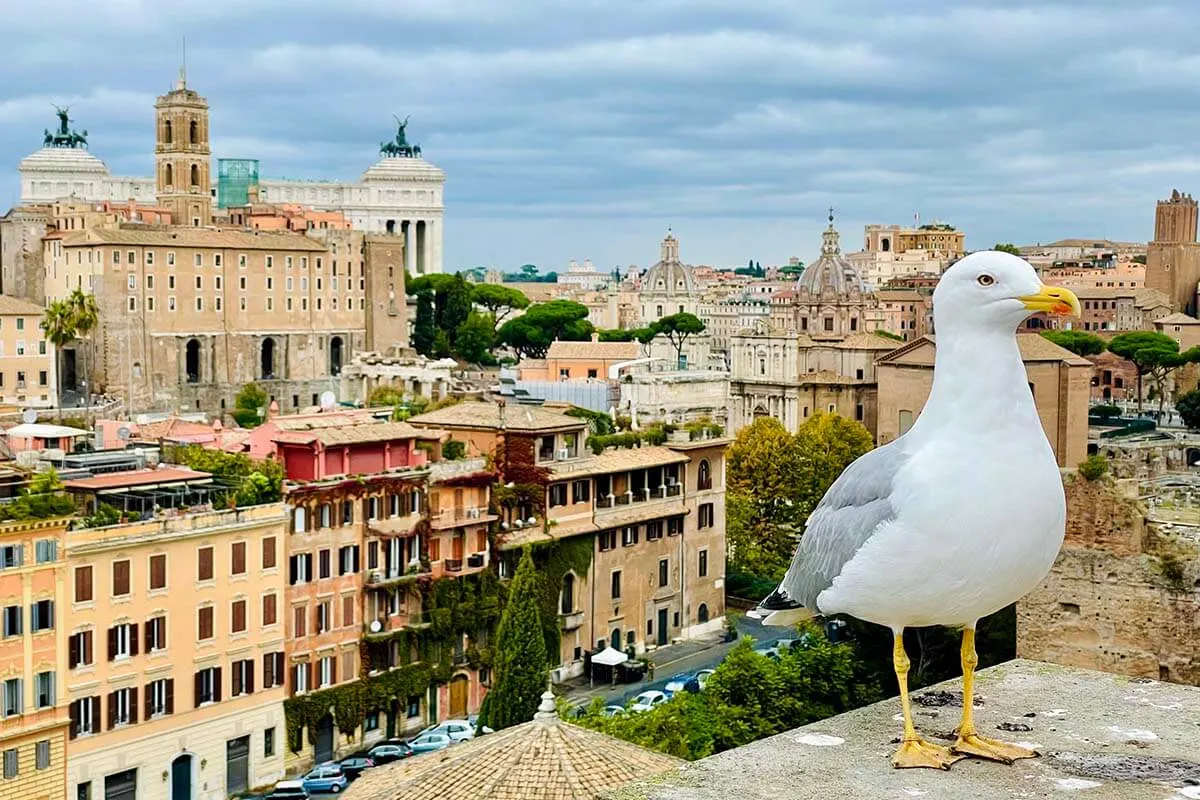 Paisaje de la ciudad de Roma y una gaviota en el Foro Romano