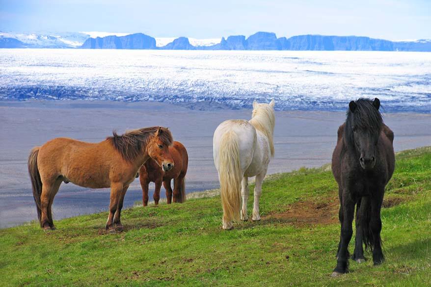 Die 13 Besten Island Touren, Ausflüge & Aktivitäten (Sommer & Winter)