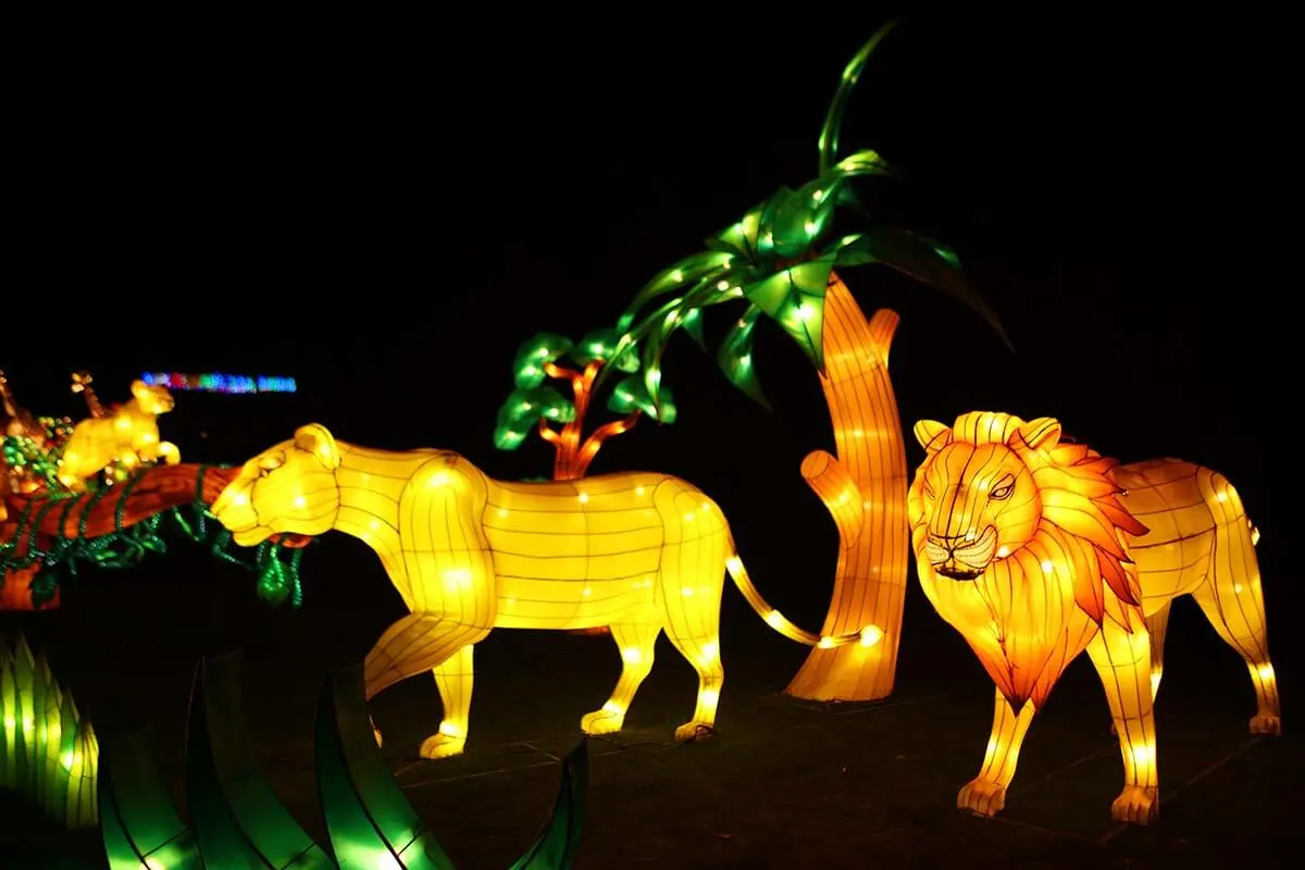 Light festival in Antwerp zoo in Belgium in winter