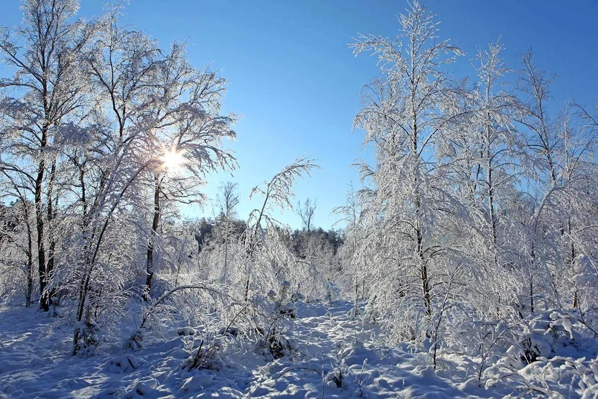 Snow in Belgium at the end of December