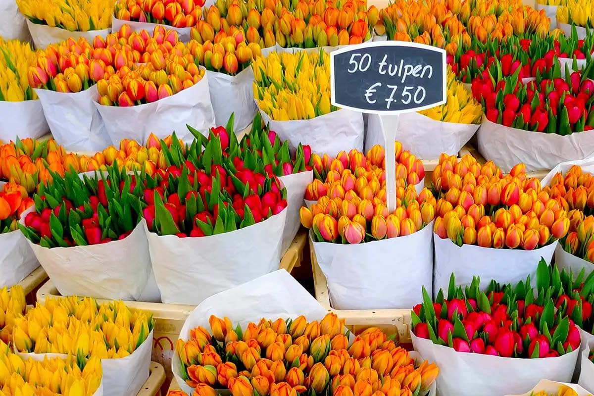 Tulips at Amsterdam Floating Flower Market