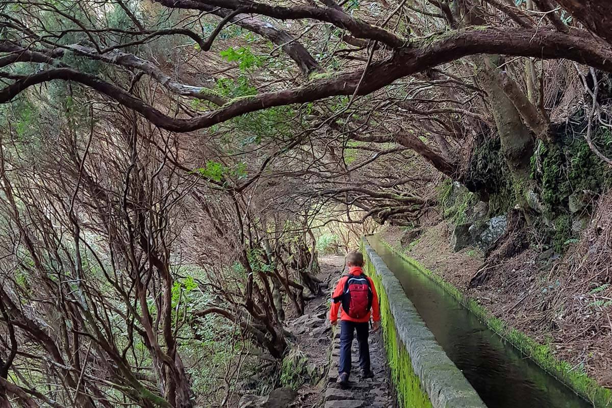 25 Fontes levada hike in Rabacal, Madeira