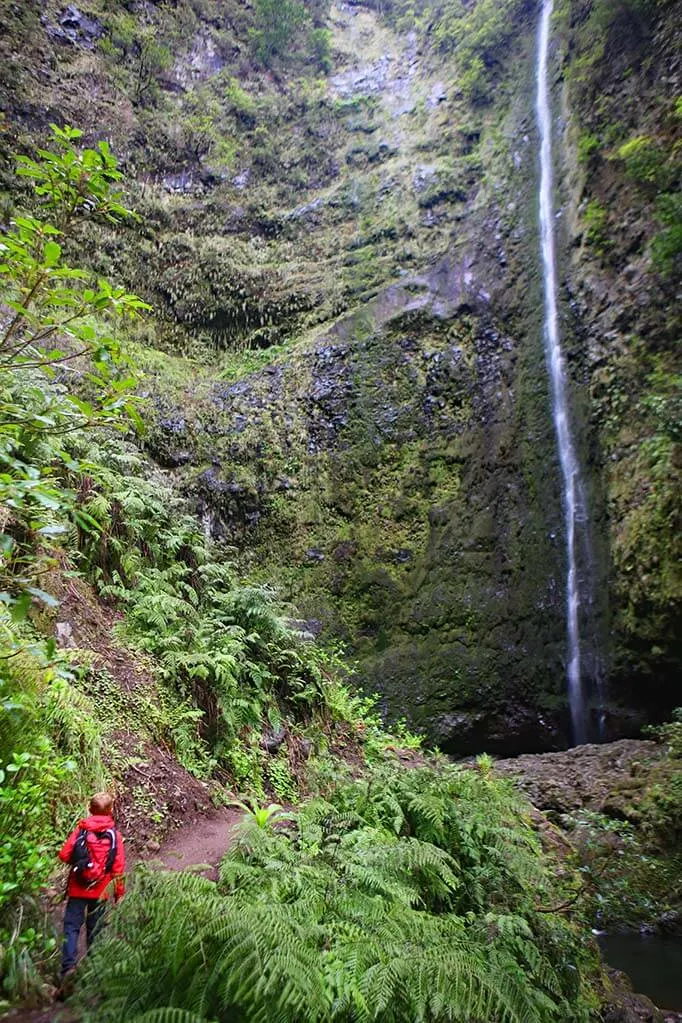 Caldeirao Verde waterfall in Madeira