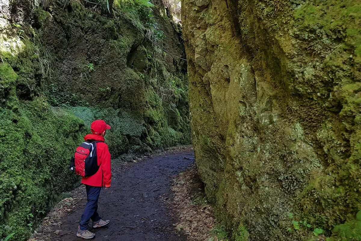 Hiking Vereda dos Balcoes trail in Madeira