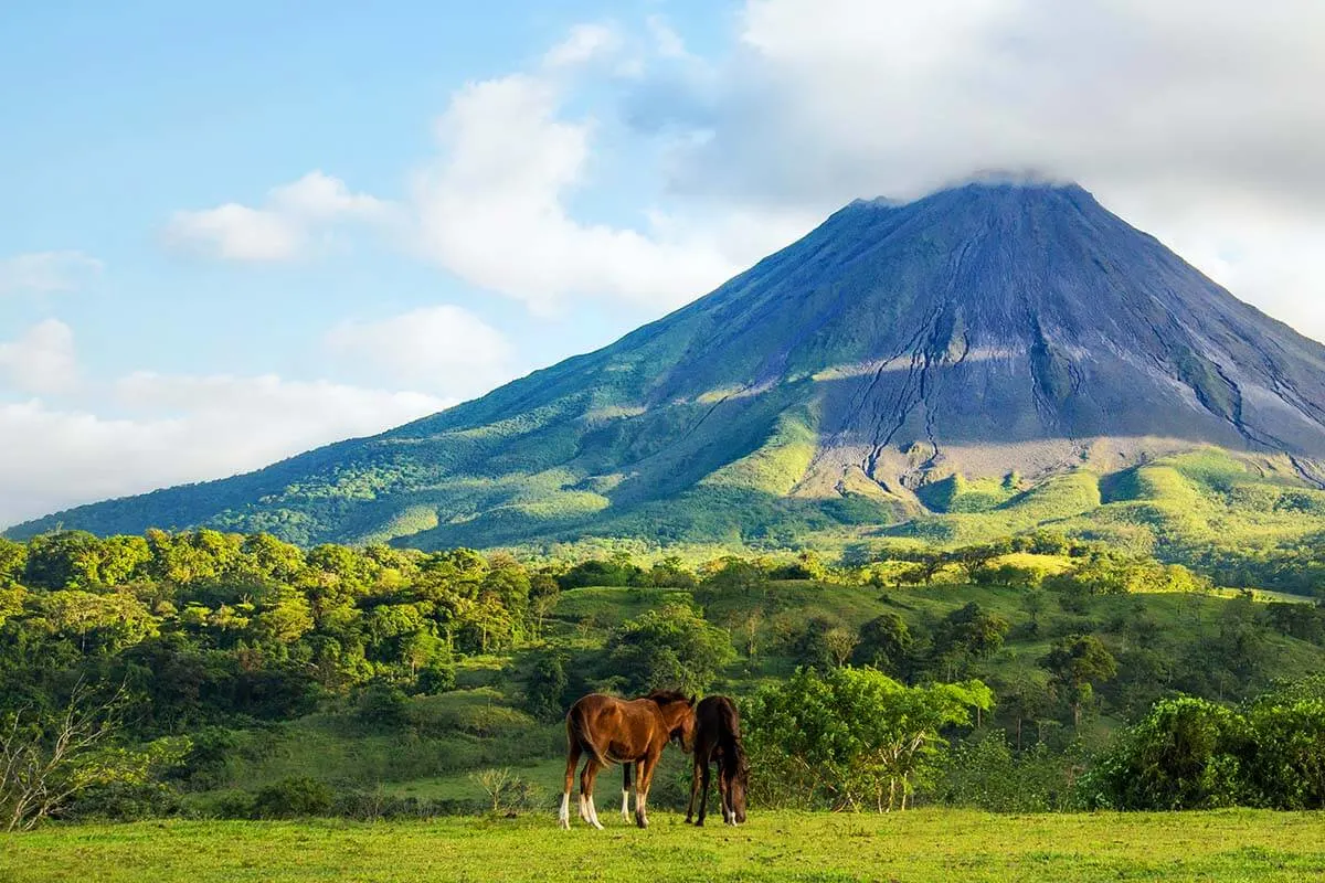 Horses at Arenal Volcano in La Fortuna Costa Rica
