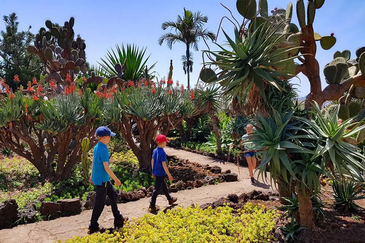 Madeira Botanical Garden is one of the nicest places to visit in Madeira
