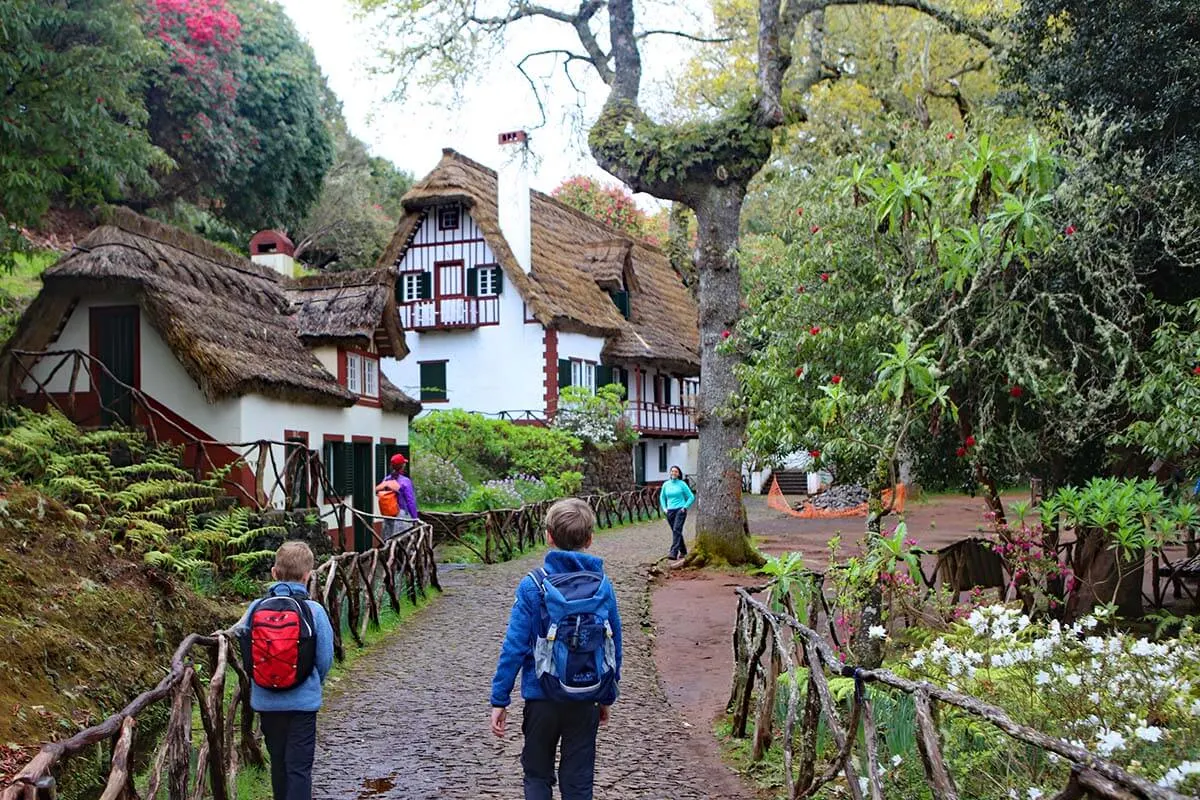 Queimadas Forest Park in Madeira