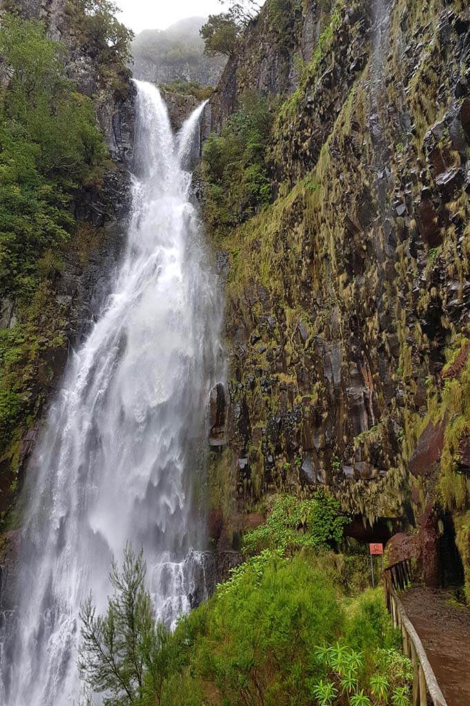 Risco Waterfall in Madeira