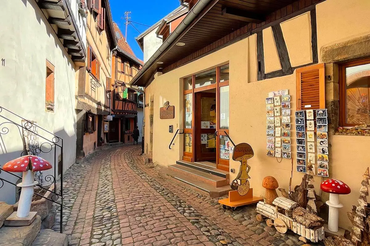 La Boutique du Champignon in Eguisheim