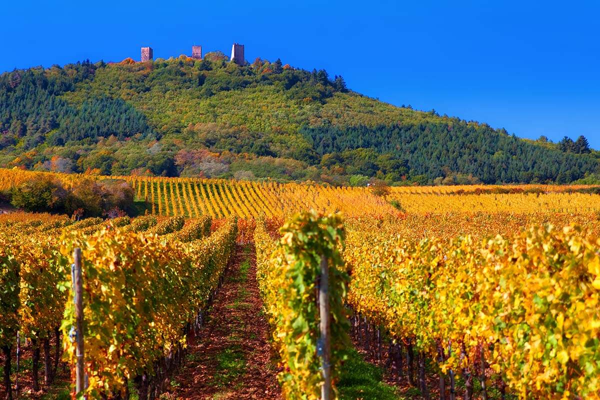 The Three Castles of Eguisheim and Alsace vineyards
