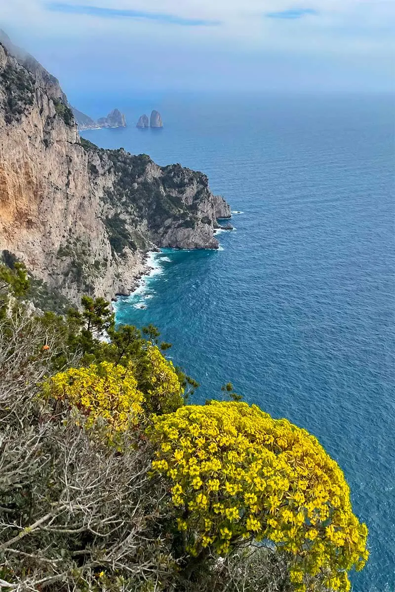 Capri coastline views from Belvedere della Migliara in Anacapri