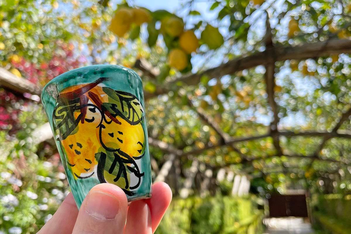 Limoncello glass in a lemon garden, Amalfi Coast Italy