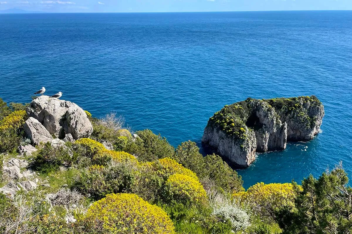 Scenery along Via Pizzolungo hike in Capri