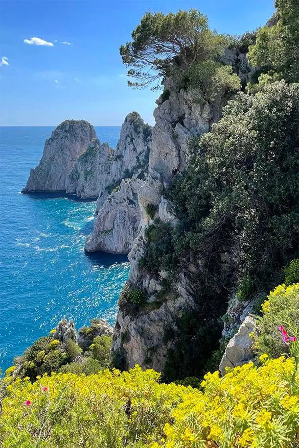 Scenery along Via del Pizzolungo hike in Capri