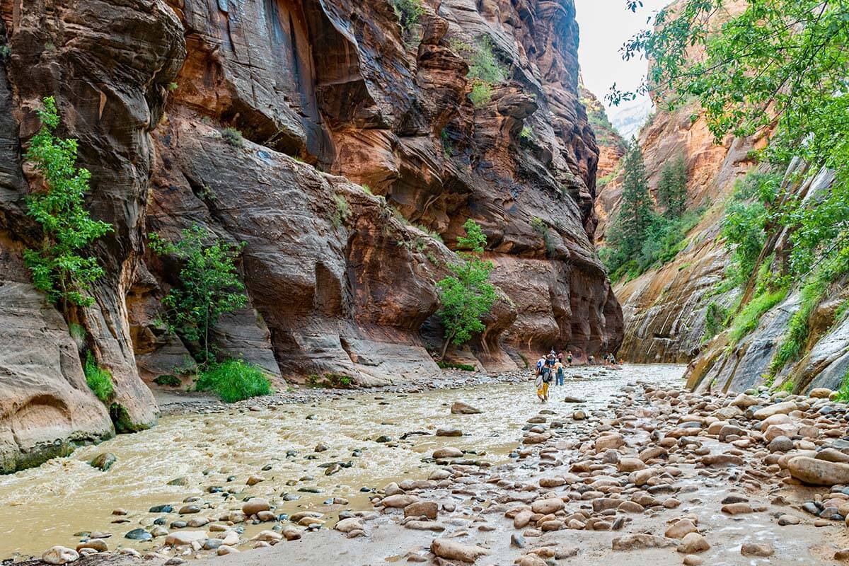 Hiking Lower Narrows in Zion National Park