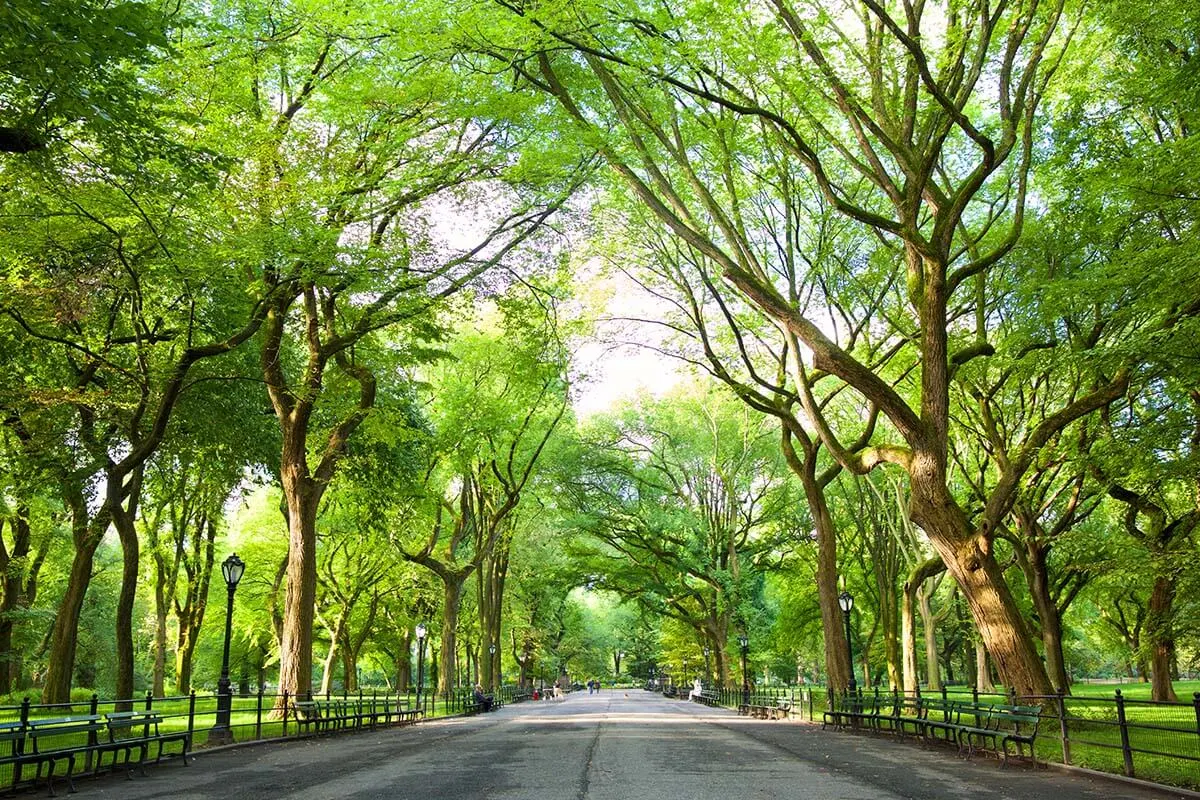 The Mall and Literary Walk, Central Park, NYC