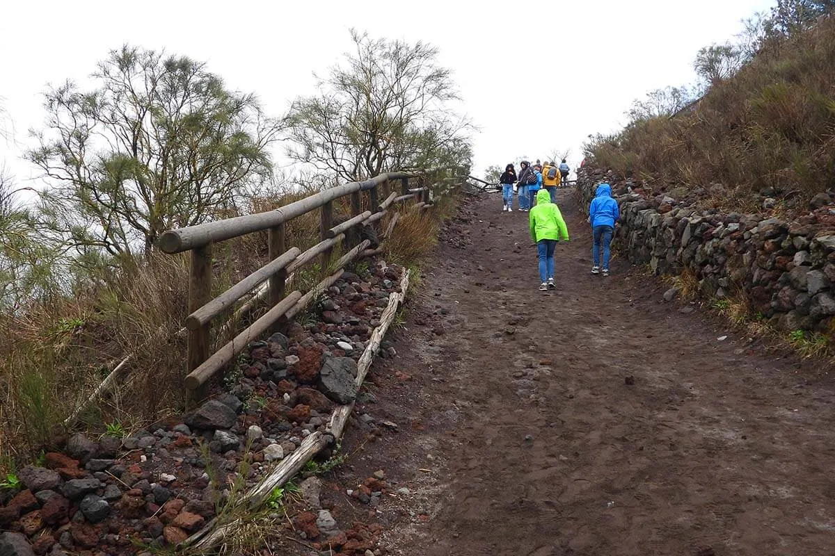 Children hiking to Vesuvius crater