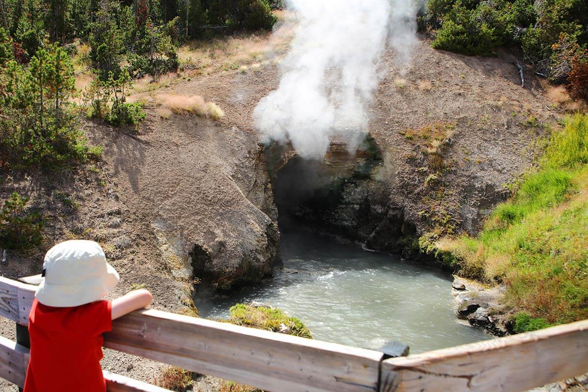 Dragon's Mouth Spring in Mud Volcano geothermal area on Yellowstone lower loop