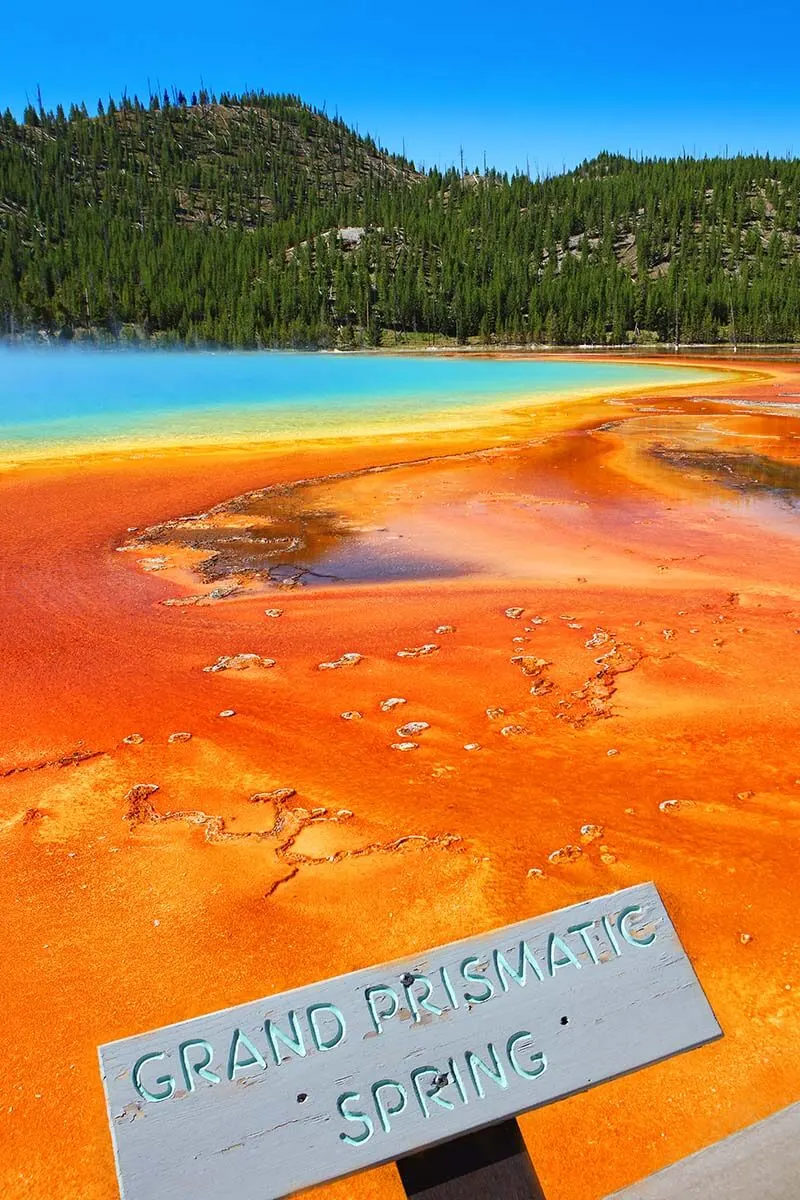 Grand Prismatic Spring - one of the top places to see on the south loop in Yellowstone National Park