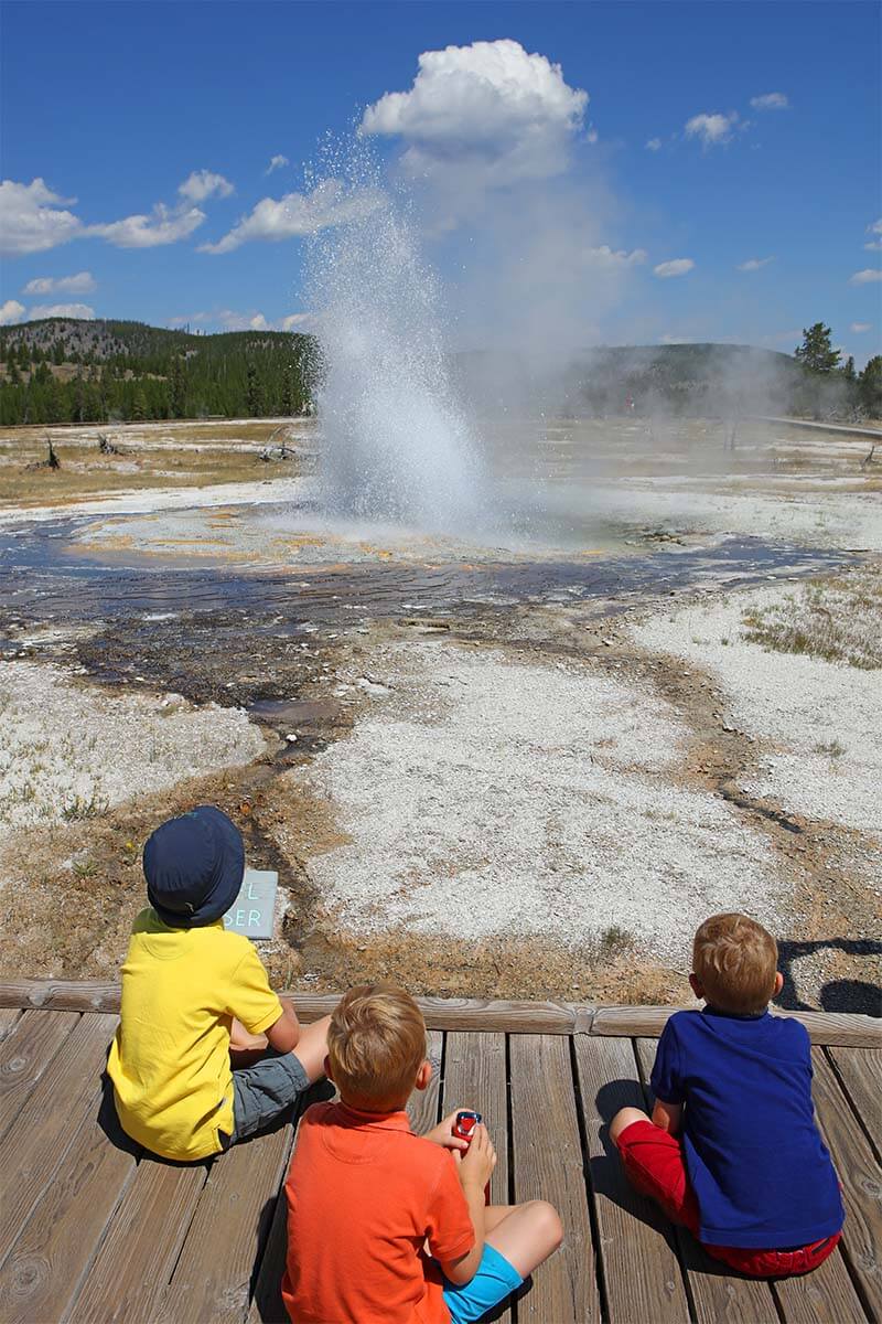 Jewel Geyser in Biscuit Basin in Yellowstone National Park