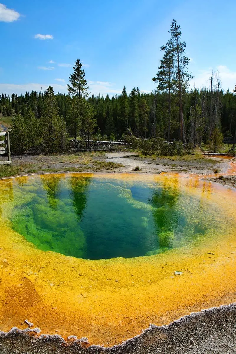 Morning Glory Pool in Yellowstone National Park