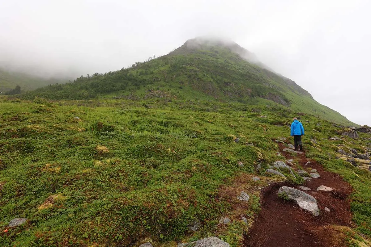 Coastal hike at Mefjordvaer on Senja island in North Norway