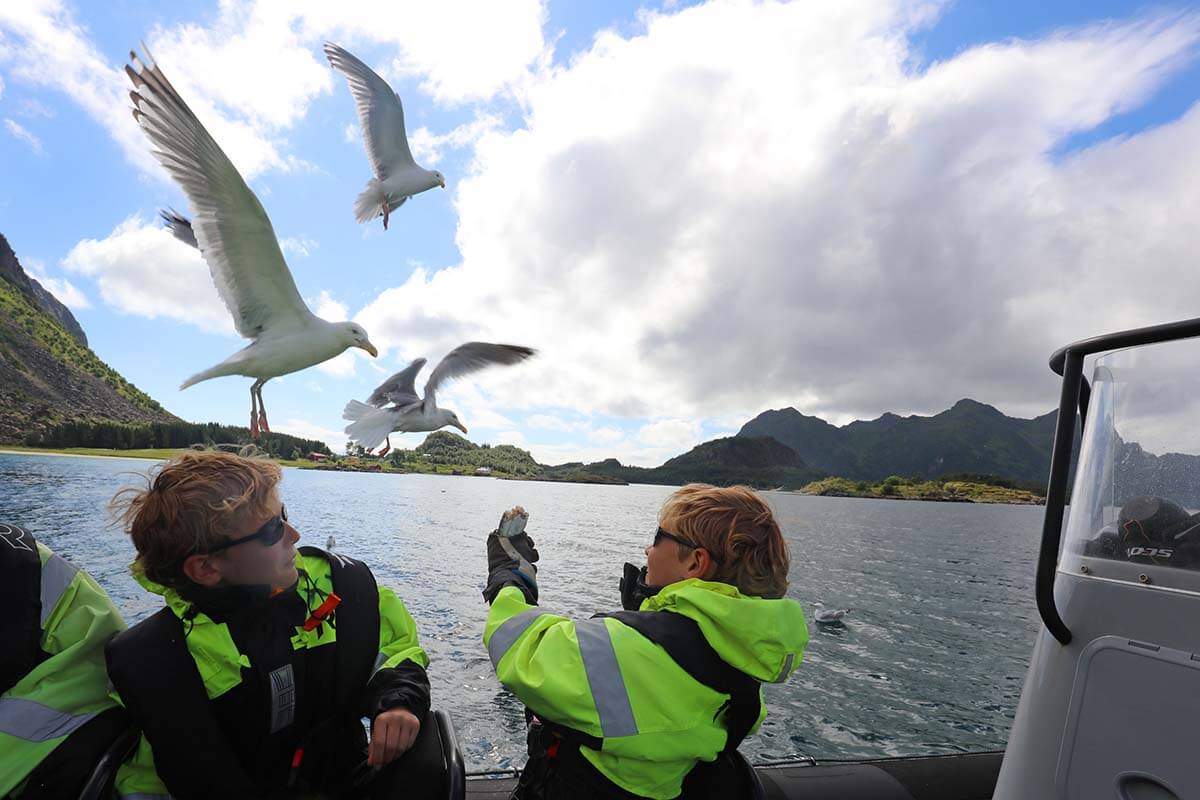 Kids feeding seagulls on a boat tour in Svolvaer