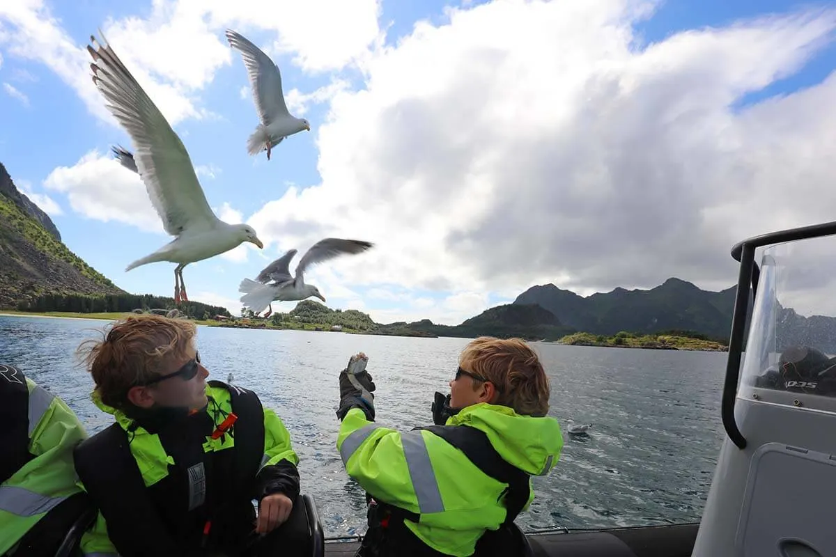 Kids feeding seagulls on a boat tour in Svolvaer