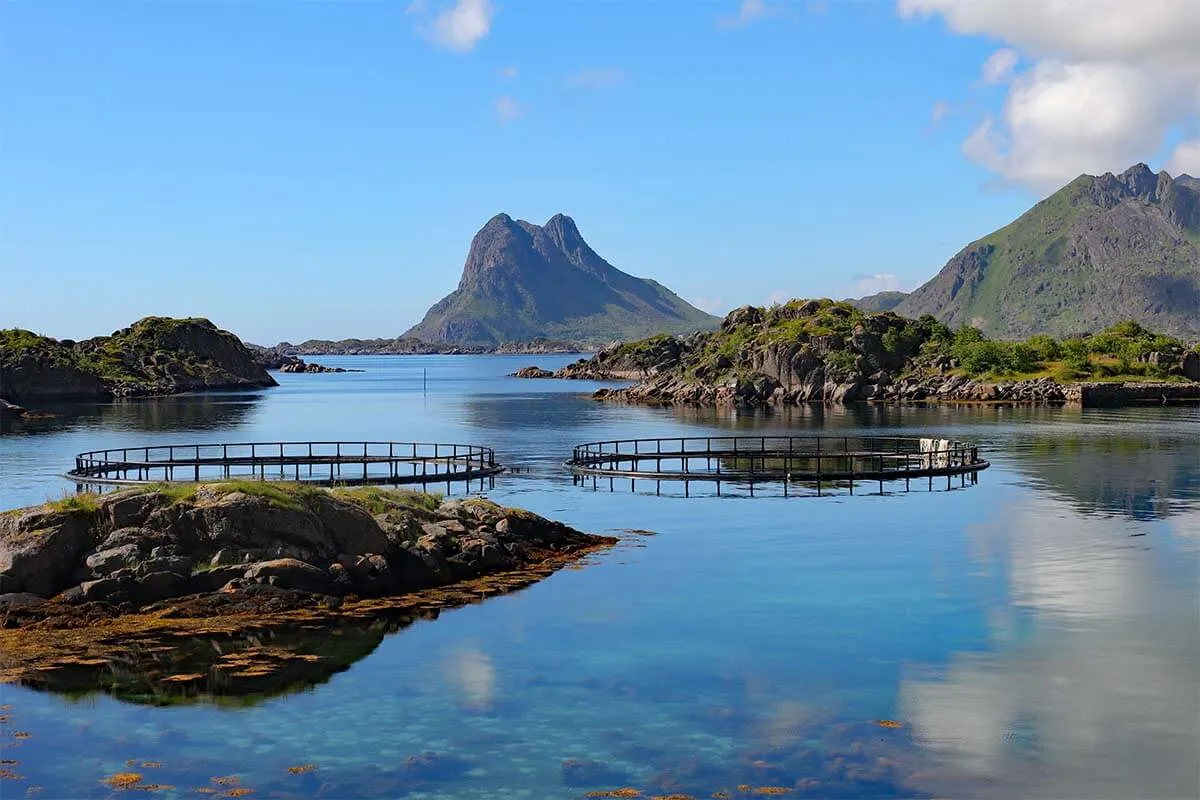 The scenery along Steineveien scenic road in Lofoten.