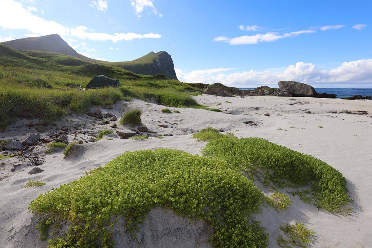Myrland beach in Lofoten islands, Northern Norway