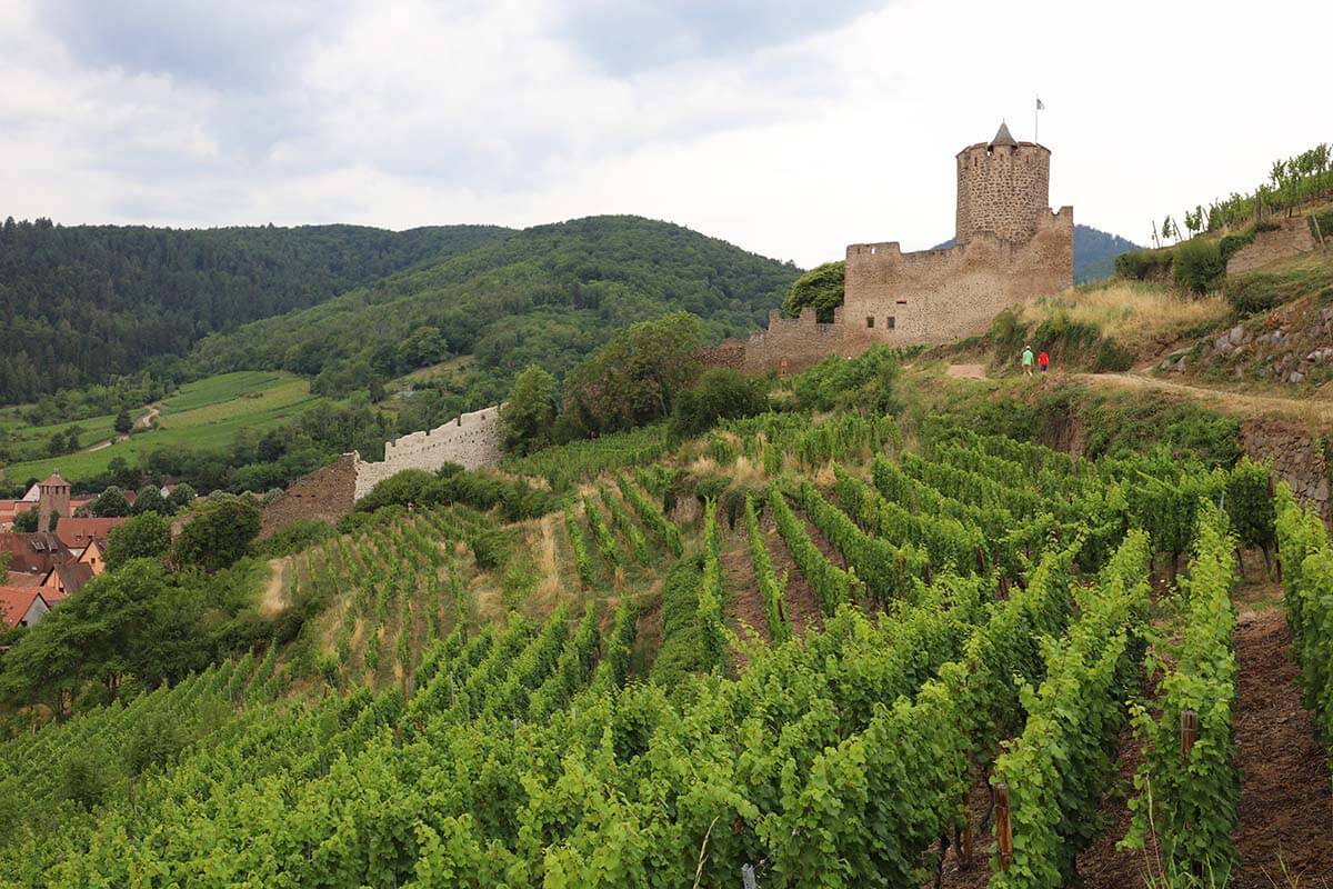 Hôtel-Restaurant Keimberg - Alsace Wine Route