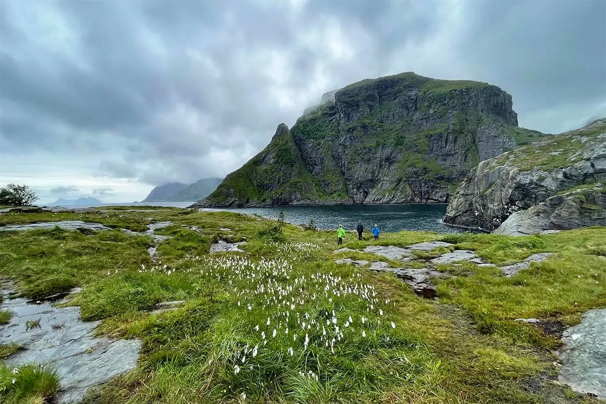 Coastal scenery near A village in Lofoten on a rainy day