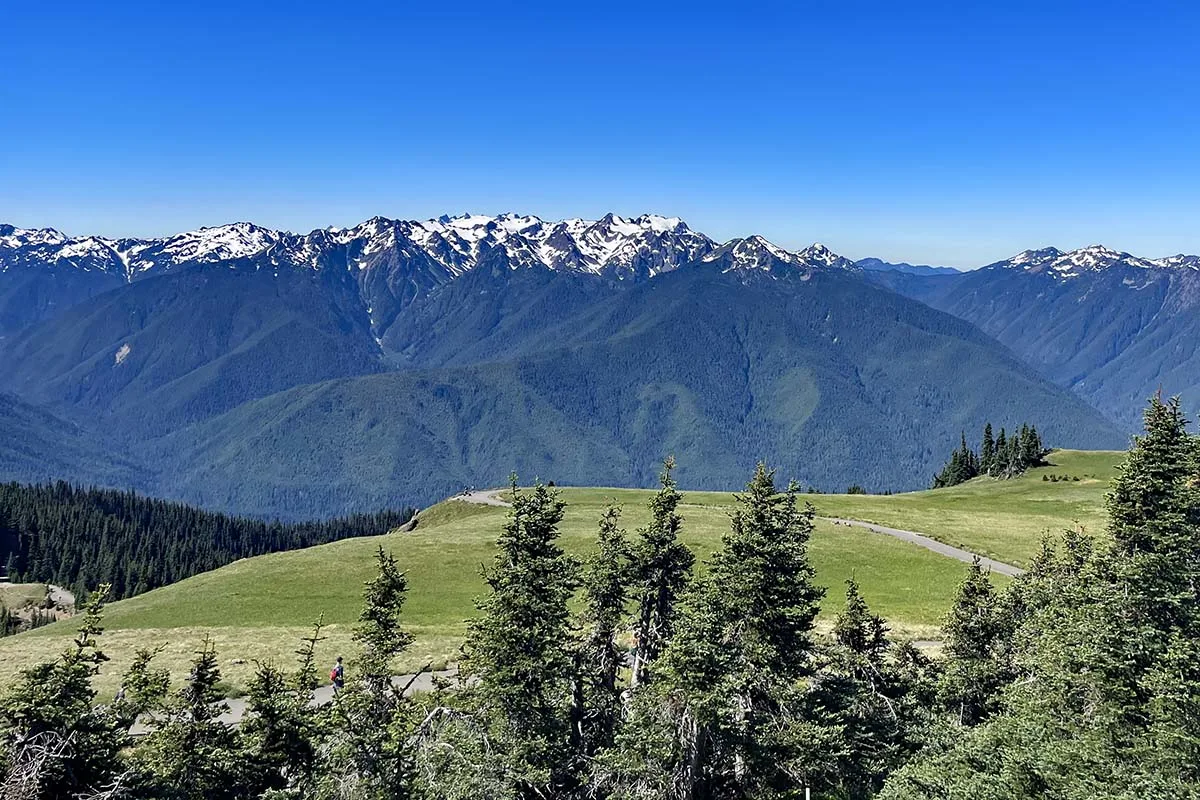 Hurricane Hill in Olympic National Park, USA