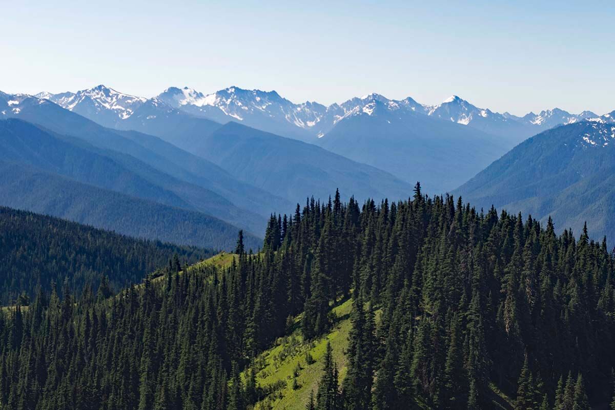 Mountain scenery at Olympic National Park in Washington, USA