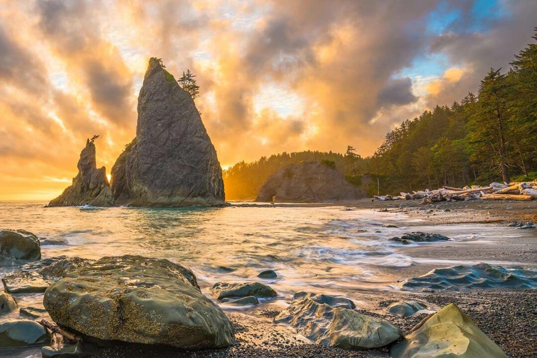 Olympic National Park Itinerary (1-3 Days) & Tips for Planning Your Visit