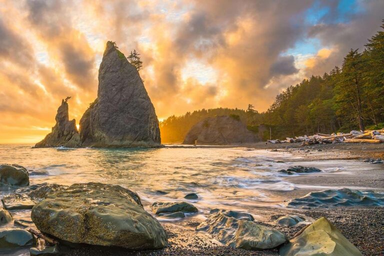 Olympic National Park itinerary and tips for planning a trip