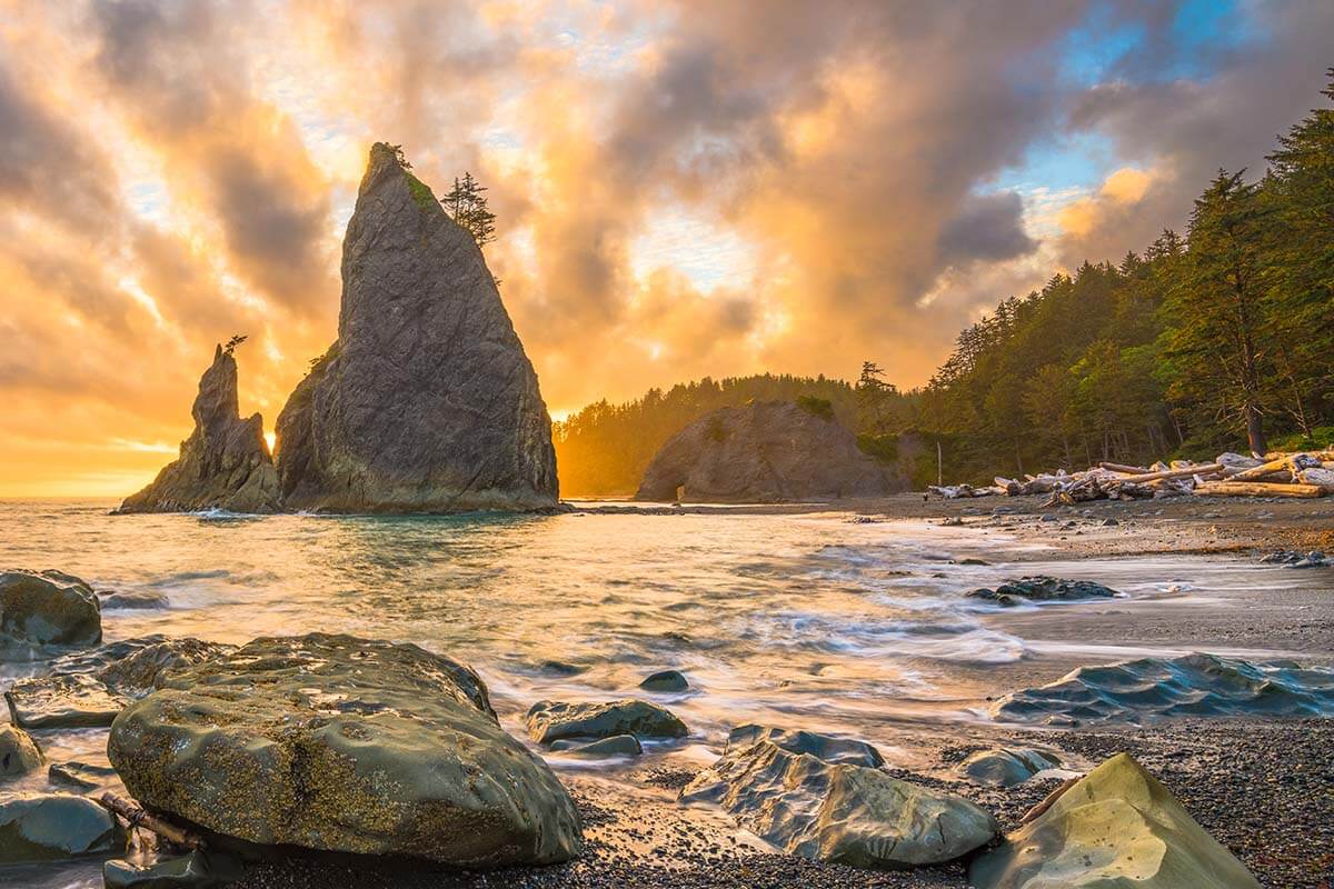 Olympic National Park Itinerary (1-3 Days) & Tips for Planning Your Visit